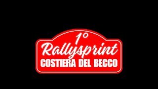 RALLYSPRINT COSTIERA DEL BECCO [upl. by Thomasina]