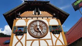 Largest Cuckoo Clock Triberg Black forest [upl. by Asyla369]