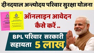 How To Online Apply DAYALU Yojana  दीनदयाल अन्त्योदय परिवार सुरक्षा योजना आवेदन कैसे करे [upl. by Rothstein654]