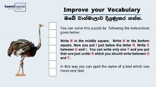 Improve Vocabulary  ඔබේ වචන දැනුම වර්ධනය කරගන්න [upl. by Macknair217]