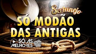 Clássicos Do Sertanejo Raiz  Modão De Buteco  Musicas Sertanejas Antigas [upl. by Huberman507]