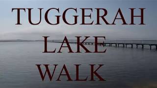 Walk amp Talk  Episode 23  Tuggerah Lake Walk [upl. by Kristi]