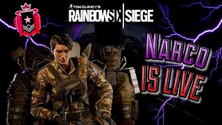 LIVE RAINBOW SIX SIEGE BEST GOLD PLAYER IN RANKED  ROAD TO 2K SUBS [upl. by Brodie]