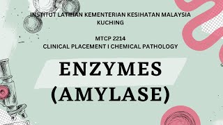 PRESENTATION ENZYMES AMYLASE SEMESTER 5 K22022 [upl. by Entirb295]