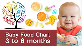 Baby Food Chart  3 to 6 months For a week [upl. by Harberd493]