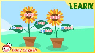 eep eed  Fun Learning  Baby English  Phonics [upl. by Akinot]