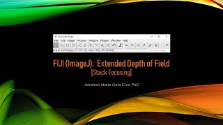 FIJI ImageJ Extended Depth of Field Stack Focusing [upl. by Gitlow]