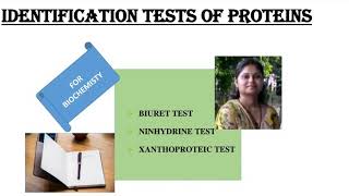 Identification tests for proteinsBiuret testNinhydrin testXanthoproteic testShiv Bhadra Singh [upl. by Eittol]