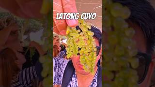 LATONG CUYO shortsvideo cuyo palawan [upl. by Ettenoitna849]