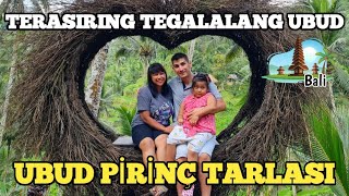 Terasering Tegalalang Ubud  Ubud Pirinç Tarlası [upl. by Asina]