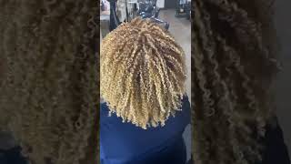 Transform Your Curls Hottest Hair Color Trends for Curly Hair in 2024 [upl. by Obellia]