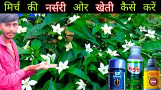 mirchi ki nursery or kheti kaise karen  mirch me virus ki dawa  lanevo insecticide dhanuka [upl. by Readus]