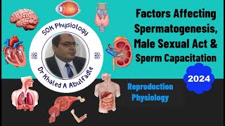 Factors Affecting Spermatogenesis amp Male Sexual Act 102024 by Dr Khaled A Abulfadle [upl. by Niarb]