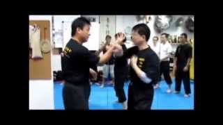 Sifu Kong Chi Keung Fighting Concepts [upl. by Nylasej]