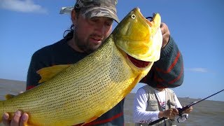 TV Nº301 08122017 Pesca en Berisso Rio de la Plata [upl. by Eelinej]