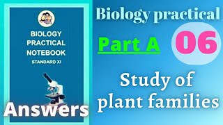 Study of plant families biology practical class 11 experiment 6 part a answers [upl. by Casey]