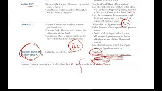 Upper extremity nerves made easy 2 Median Ulnar recurrent branch of median  Musculoskeletal  3 [upl. by Ahsier802]