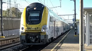 Train at Lembeek Station 4K [upl. by Tama956]