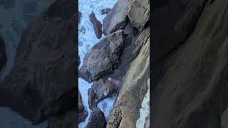 Bit Close 2 The Edge Here But Safe Dont Worry Open Cliffs At The Beach In Australia rockclimb [upl. by Jeffers243]