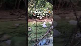 Visit Mossman Gorge fnq waterfall mossman mossmangorge [upl. by Ecined]