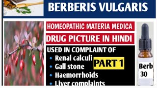 Berberis vulgaris homeopathic medicinehomeopathic materia Medica Berberis vulgaris 30 200 Part 1 [upl. by Noonberg]