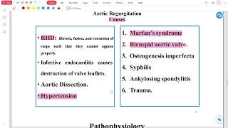 Chest and Cardiology LEC 3 Aortic valve S amp R [upl. by Naor368]