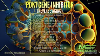 Reverse Aging PDK1 Gene Inhibitor Scientifically Proven [upl. by Ehrsam524]