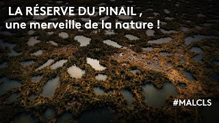 La réserve du Pinail une merveille de la nature [upl. by Ennaeed]