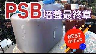 PSB培養最終章 20Lを培養するレシピ公開します！PSB [upl. by Ecirtac468]