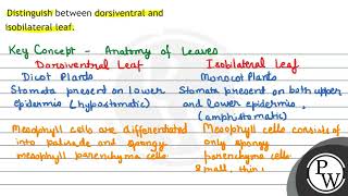 Distinguish between dorsiventral and isobilateral leaf [upl. by Farmelo]