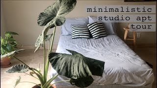 Minimalistic Studio Apartment Tour Dallas TX  Simple Living [upl. by Speroni843]