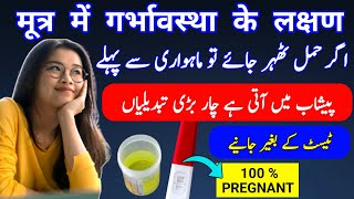 4 Changes in Urine After Getting Pregnant मूत्र में गर्भावस्था के लक्षण Week 1 Pregnancy Symptoms [upl. by Robinetta920]