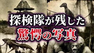 【総集編】忽然と消えた探検家の謎【ゆっくり解説】 [upl. by Annaid]