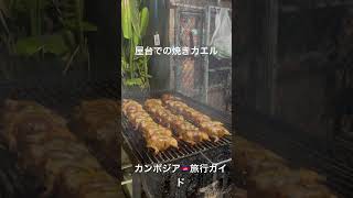 屋台料理 カエル カンボジア 旅 アジア観光 旅行 東アジア アンコールワット日本語ガイドトム アジアツアー 海外旅行 海外旅行 海外旅行好きな人と繋がりたい 観光 旅 [upl. by Schwarz]