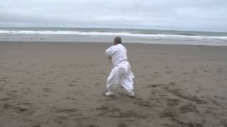 Shintaido Kenjutsu  Tenshingoso through sword movement [upl. by Radec35]