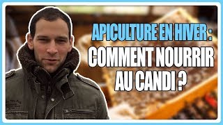 Apiculture en hiver  Comment nourrir au candi [upl. by Lela]