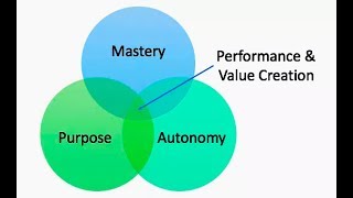 Autonomy Mastery amp Purpose [upl. by Abraham757]