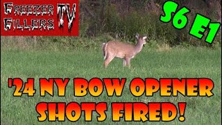 NY Bow Opener Shots Fired Deer Hunting Bow Hunting S6E1 [upl. by Nishom]