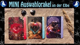 🌊🤍🐺 MINI Auswahlorakel an der Elbe🤍🐺🌊 Tarot☆zeitlos [upl. by Anib840]