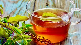 5 Incredible Reasons To Drink Holy Basil Tea Tulsi [upl. by Sivet]