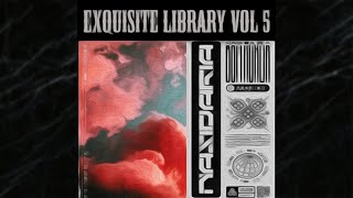 25 FREE quotExquisite Sample Library Vol 5quot Loop and Sample Pack Pvlace Pyrex Cubeatz style [upl. by Johnette]