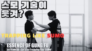 JEETKUNEDO  정무절권도  스모 기술의 무서움 파워펀치 트래핑 응용  JKD Power Punch Trapping like SUMO [upl. by Amr]