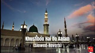 Khushboob Hai Do Aalam SlowedampReverb  Super Hit Naat 2024 ☆☆ Hassan Ali Official [upl. by Heyes]