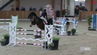 CSI Riesenbeck International 3 Oktober 2024  5 Oktober 2024CSIYH [upl. by Adnek]