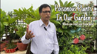 Poisonous Plants in your Garden 🌿 I आपके बगीचे का रहस्य जहरीले पौधे🍄 [upl. by Kier]