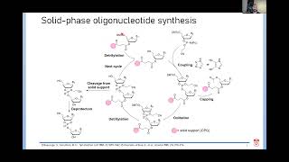 Towards Developing Greener Methods for Oligonucleotide Synthesis [upl. by Luci165]