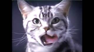 2002 Friskies Commercial Cats Being Frisky for Friskies  Aired January 2002 [upl. by Kcirttap]