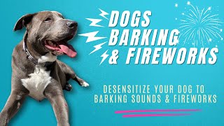 BARK AND FIREWORKS SOUNDS FOR YOUR DOG  DESENSITIZE  REACTIVE DOGS [upl. by Starlin]