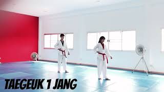 Taekwondo Poomsae 1  3 Taegeuk 1  3 Jang [upl. by Zashin99]