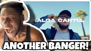 HES BACK AGAINN😲🔥  Potter Payper  Sinaloa Cartel  Trey Reacts [upl. by Ahsined]